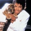 mj.liker_forever50