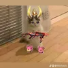 minhazls123