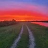 elinkagazelinka