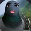 _thieny67