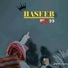 malik.haseeb478