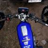 kingbiru28