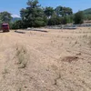 mert.akdeniz19