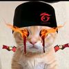 userr.sgg