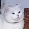 ymmy.nnn