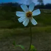 chill_with_me_0000