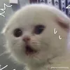k_huyen415