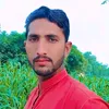 malikqamarabbas250tda