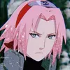 sakura.harunouchir