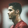 cr7312498