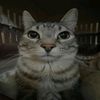 iulian_george27