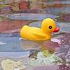 rubberduck6