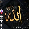 salim.zaid2