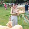 lalita_store05