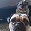 bubbles123rocky45