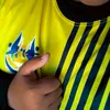 nyscollass