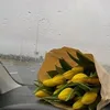 fatimazahraasri3