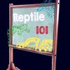 reptile101official