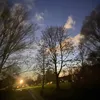 dehsheep14