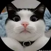 catph0.0