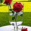 user2008585837677