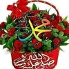 abeer.ezzat8