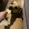 rudy_2237