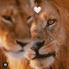 mmmppppk.pm.m