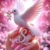 sabreenmosad8
