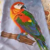 salma.salom8