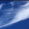 thewinds01