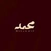 mostafa.mahmoud.h8