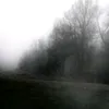 d4sh_ay