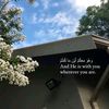 ameel_bl