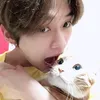 samminhoe