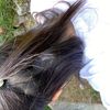 ria.manopode