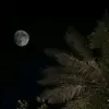 _quran3230