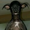 unkown_username_01