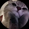_dolplhin_1