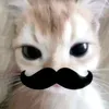 nosbiger