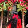 sidratul_manha0