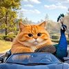 orangecattiktok