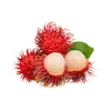 labucu210
