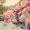 lhiza96
