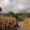 mulyadi.sahputra