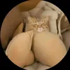 lacdiepquynguyen107