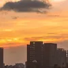 ntuongdz1810