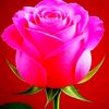 juther733