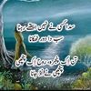 ali.raza6523