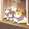 flowcats1